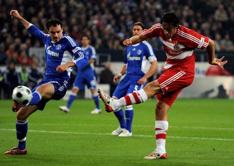 而球迷们也 而球迷们也